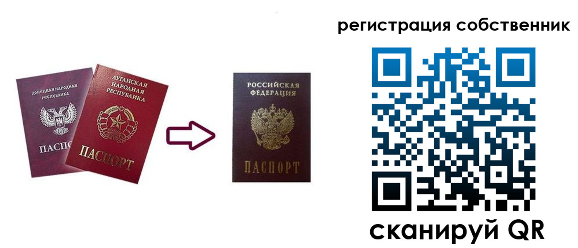 прописка для школы в Кудрово